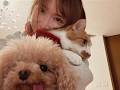 ありがとう。大好きだよ、ルナ。【愛猫との最期のお別れ】