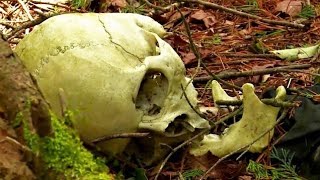 Uncovering Hidden Tombs and Caves in Aokigahara - [The Suicide Forest ]