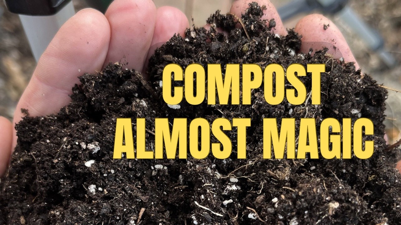 Bad soil? Here’s What Actually Fixes It. - YouTube