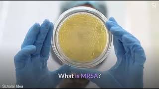 what is MRSA