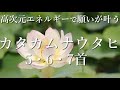 【カタカムナウタヒ🌸5首6首7首】聴き流すだけで簡単に覚えられる🌟唱えるだけで波動が良くなる！不思議なパワー🌟高次元のエネルギーで願いが叶う（シンプル聞き流し）