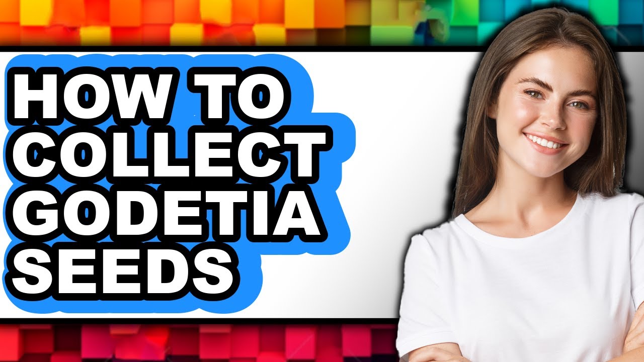 How to Collect Godetia Seeds (Only Way)