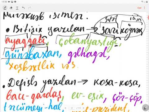 Video: Bütün dillərdə isim və fel varmı?