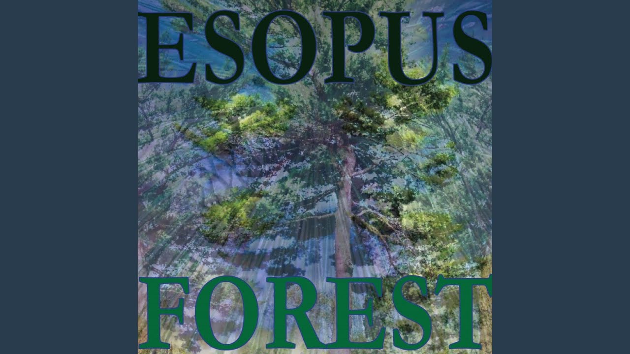 Peace (Damrosch Park Mix)