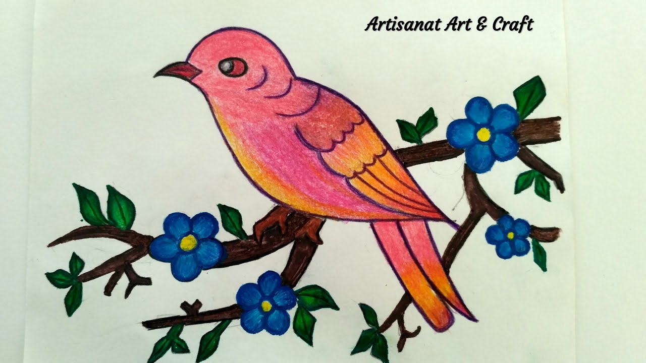 Color Pencil Bird and Flowers Drawing - YouTube