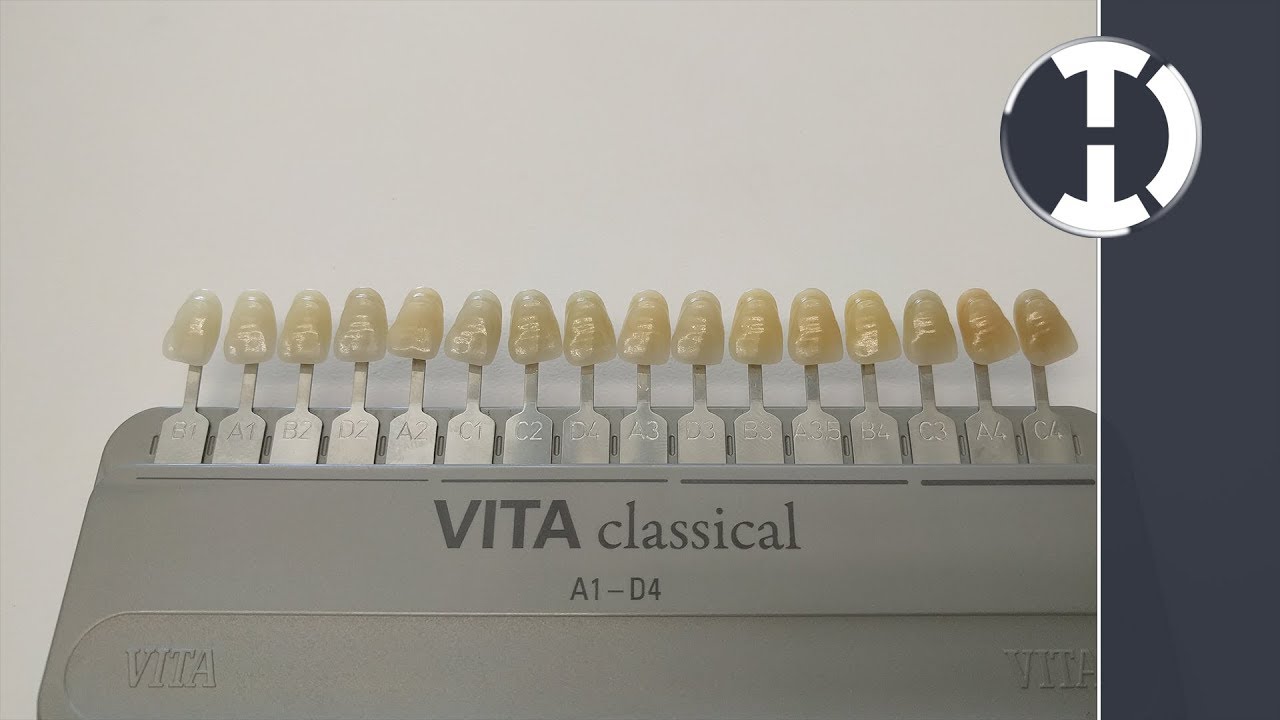 dentalquicktip-how-to-arrange-your-vita-shade-guide-in-value-order-youtube