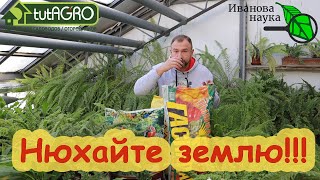 видео: КАК ВЫБИРАТЬ ГРУНТ... ПО ЗАПАХУ! Оцените качество грунта - понюхайте его! Чем пахнет качество? картинка: КАК ВЫБИРАТЬ ГРУНТ... ПО ЗАПАХУ! Оцените качество грунта - понюхайте его! Чем пахнет качество?