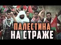 Палестина на страже! Шейх Мухаммад аль-Арифи