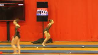 Vault - 2018 Tskue Layout Cambridge Starlight