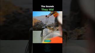 Download Lagu De geluiden die ze verborgen hielden MP3