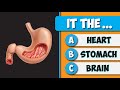 Can You Name These Body Parts? | Easy Human Body Quiz