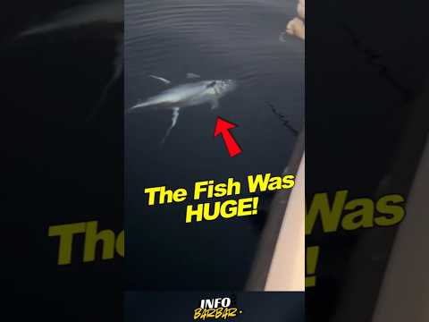 صيد سمكة تونة أكبر من قاربها تغذية السراويل مضحك صيد