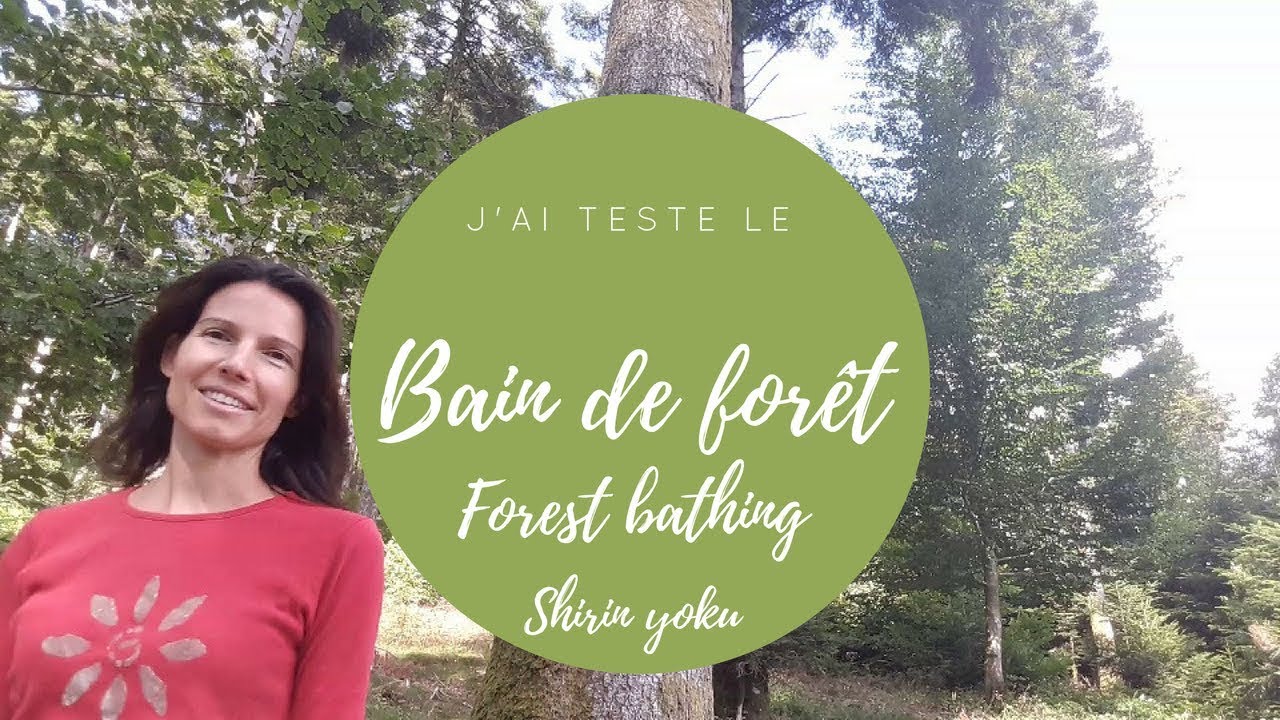 The forest bathing (Bain de forêt | Shinrin Yoku | Sylvothérapie ...