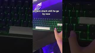 go by now! attack shark x65 he