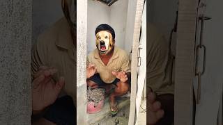 The Cat Pressed The Sensor... But A Husky Head Jumped Outp8818