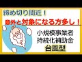 最大100万円または200万円補助！小規模事業者持続化補助金（台風型）