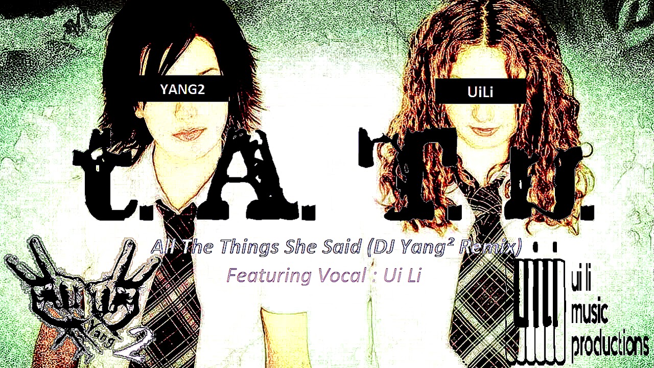 All The Things She Said (DJ Yang2 DUBSTEP Remix)