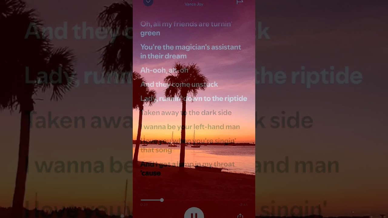 Riptide by Vance Joy 