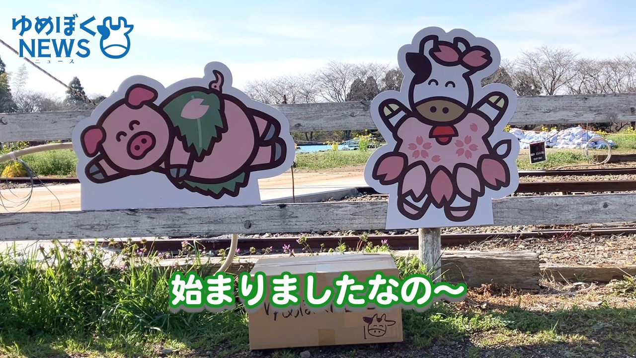 ゆめぼくNEWS【第3回〜春編〜】 - YouTube