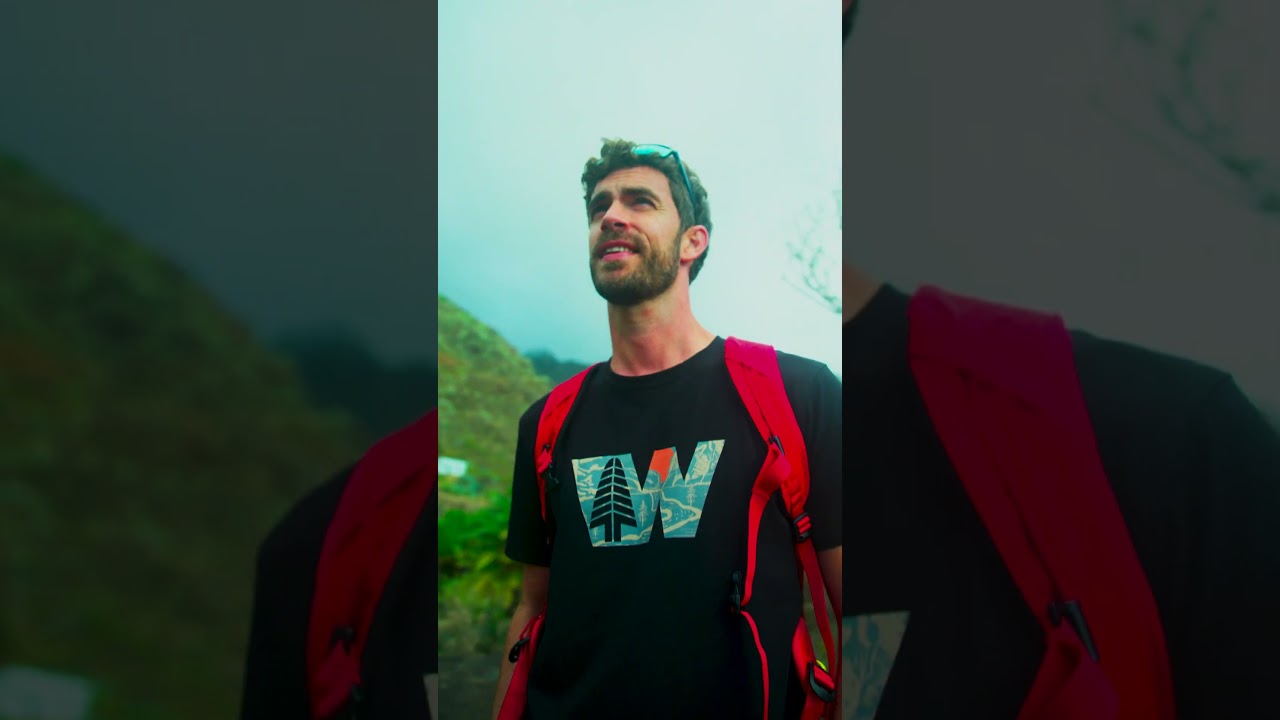 Aperçu de la vidéo