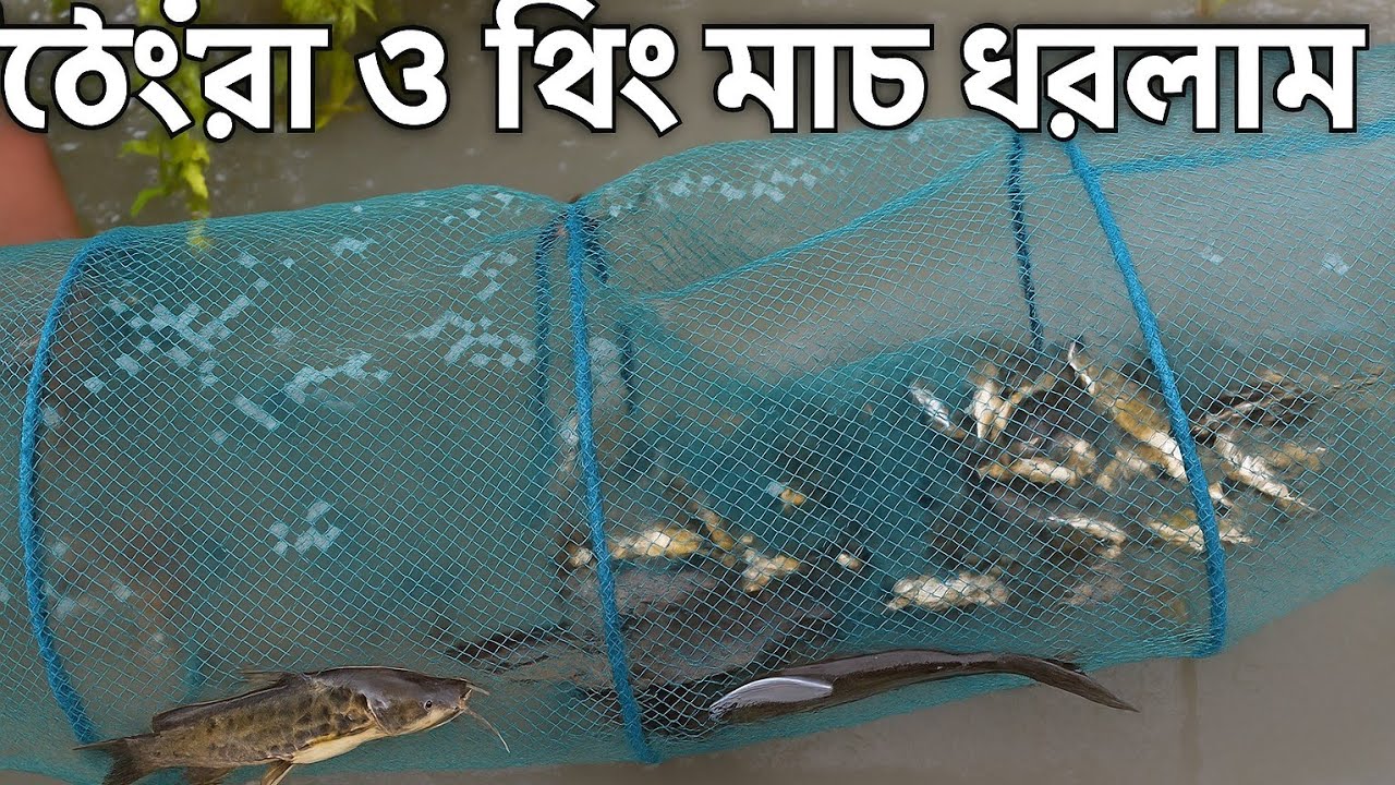 Fish Rifat *চায়না দোয়ারি জাল দিয়ে মাছ ধরলাম || গ্রামের নদীতে রোমাঞ্চকর শিকার ...
