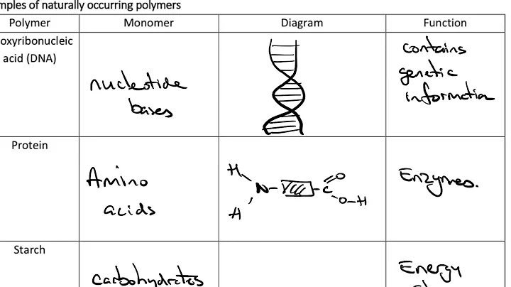 Which is a naturally occurring polymer answer? (2023)
