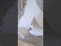 How to install tiles
