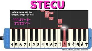 STECU STECU not pianika