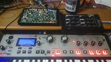 Moog Werkstatt mod being driven with MoroderNova via Midi