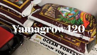 Prep, grow equipment, nutes, seed germination