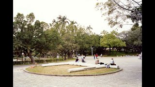 The Influence of Colonialism in Art Practice