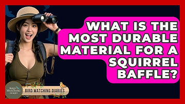 What Is The Most Durable Material For A Squirrel Baffle? - Bird Watching Diaries