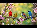 Relaxing Piano with Spring Birdsong ❄️ Calm Music for Better Sleep &amp; Stress Relief