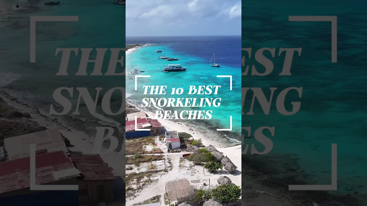 10 Best Snorkeling Beaches in Curaçao 🐠 Premiere Tomorrow! #Snorkeling #SeaTurtles #TravelCuracao