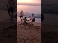 Brutal pelea en la Barceloneta