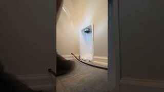 Dryer Box Installation Timelapse Photographyasmrcleaningasmr oddlysatisfying