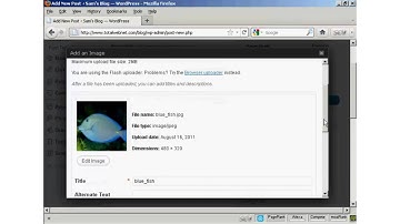 How To Insert And Format Images In WordPress