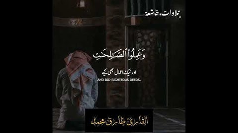 تلاوة خاشعة بصوت القارئ طارق محمد