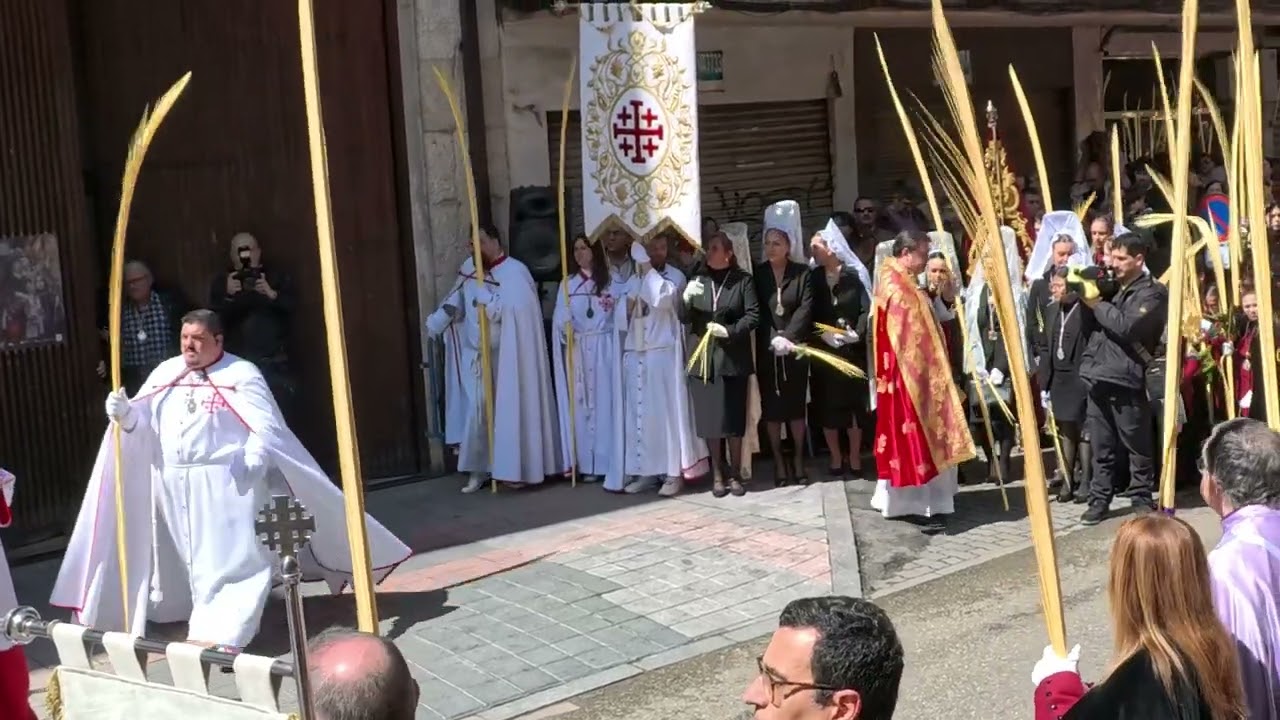 Regreso de La Borriquilla a su cofradia