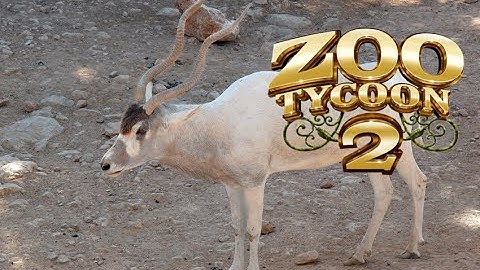 Zoo Tycoon 2 -  Addax Exhibit!
