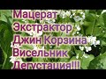 Мацерат. Экстрактор. Джин Корзина. Висельник. Дегустация!!!