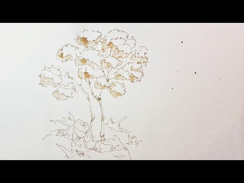 ⁣Рисую Дерево Пером И Чернилами (продолжение стрима вечером)