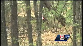 Search for missing teen scaled back Wealth