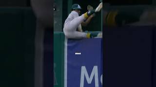 This Home Run Robbery Was Unbelievable