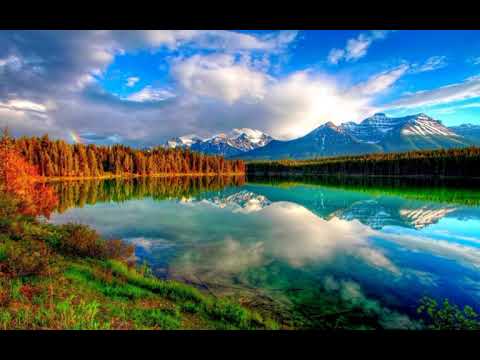 شاهد القارئ جواد فروغي اذا الشمس كورت بصوت رائع