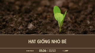 Hạt Giống Nhỏ Bé | Oneway Radio - Tĩnh Nguyện Hằng Ngày 05/06/2024