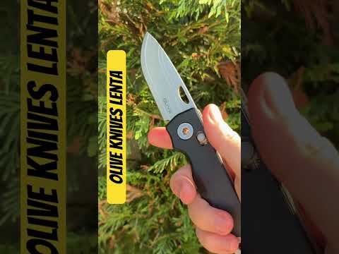 Olive Knives Lenta Folder - First Look!