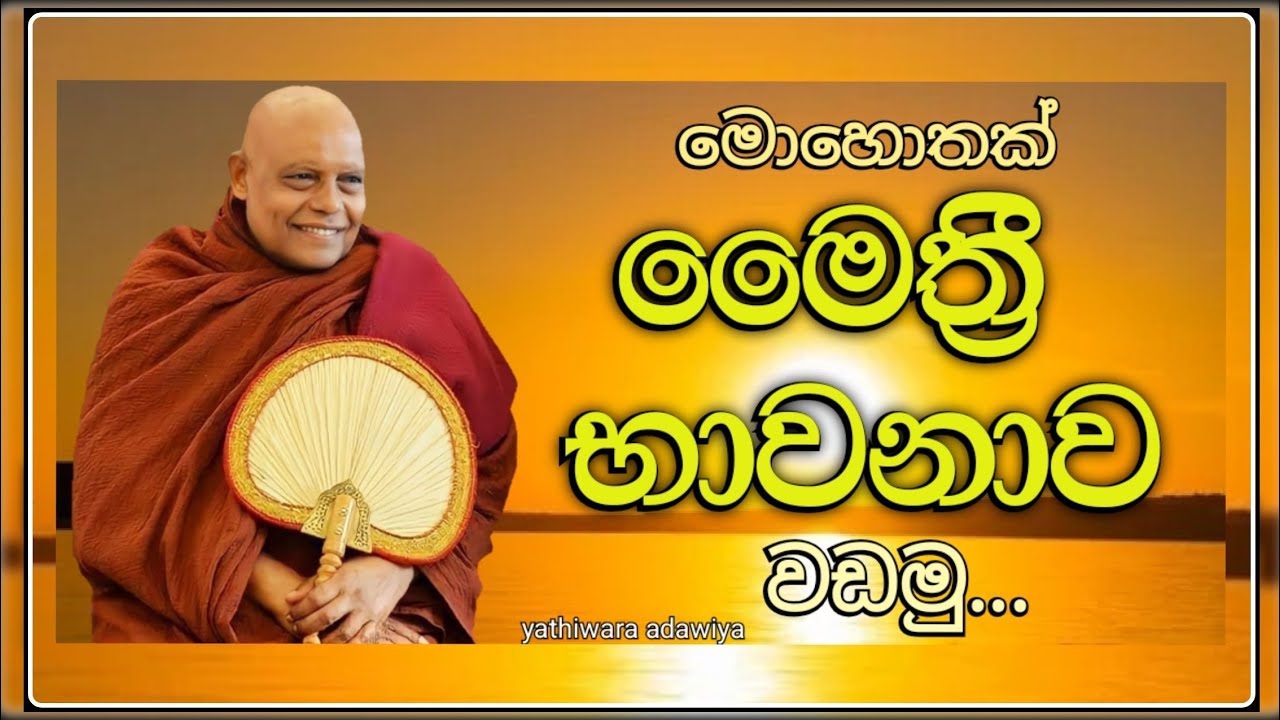 83.මොහොතක් මෛත්‍රී භාවනාව වඩමු #නාඋයනේඅරියධම්මහිමි #nauyane_ariyadhamma_thero #මෛත්‍රී