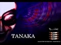 Classic Games - Tanaka 3D Gameplay
