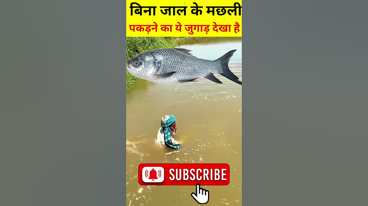 मछली पकड़ने का ये जुगाड़ देखा है 😲👌Chacha fishing in the river with desi jugad #fishingvideo